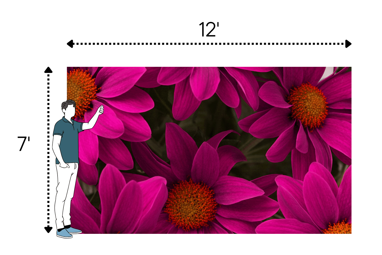7x12 - LED screen rental
