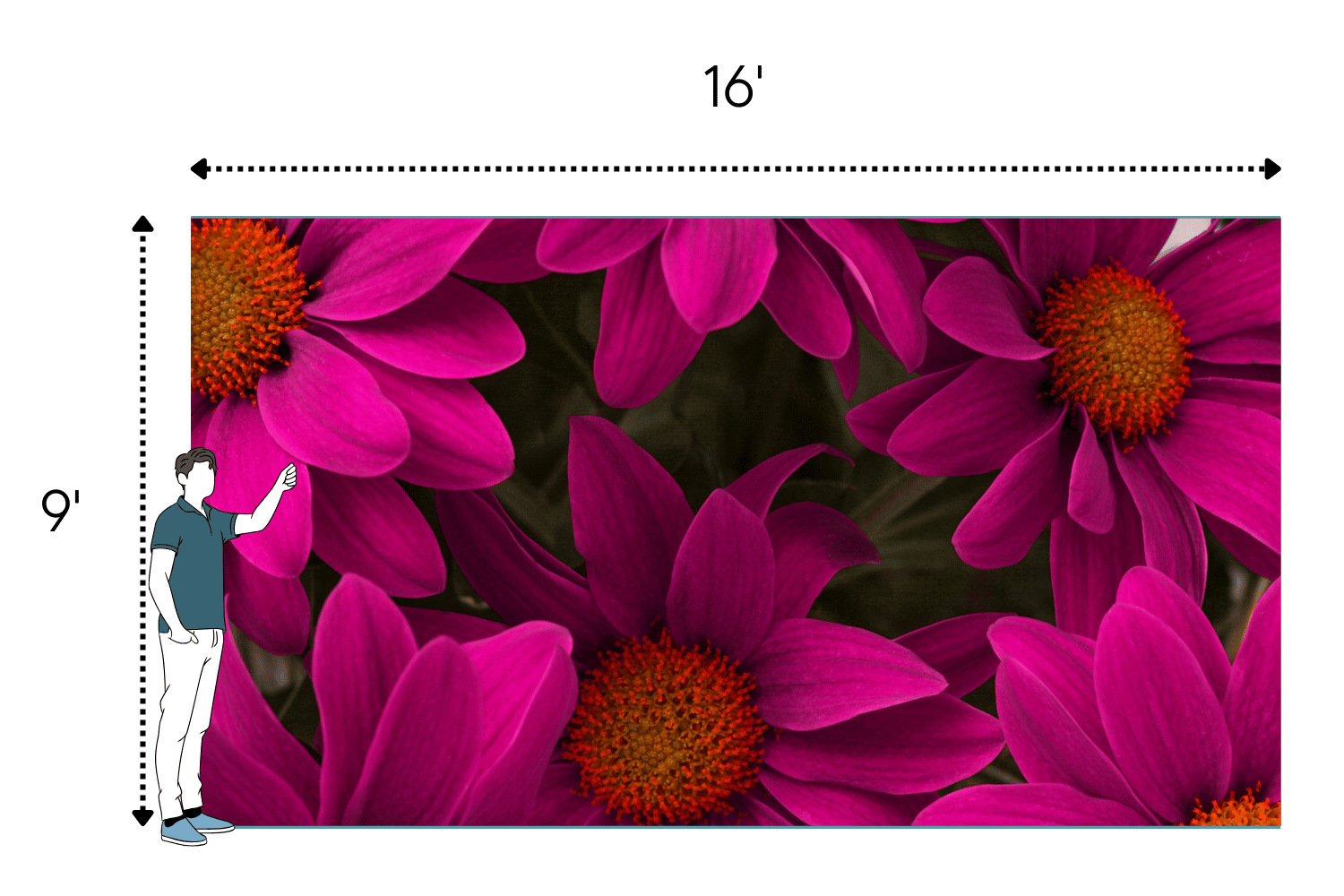 9x16 - LED screen rental